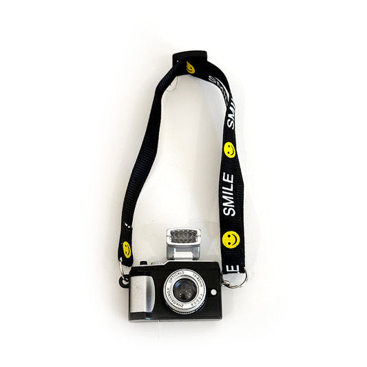 Camera with built-in battery and flash